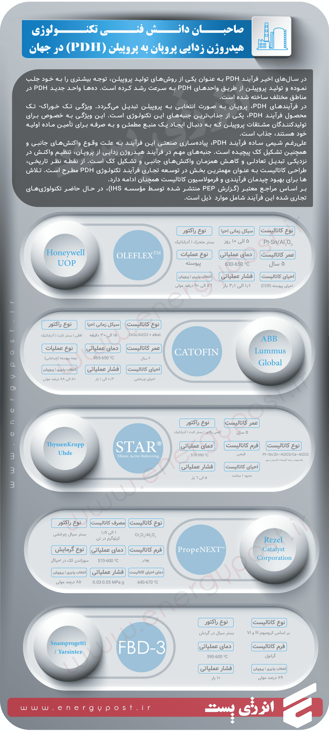 Infographic 4